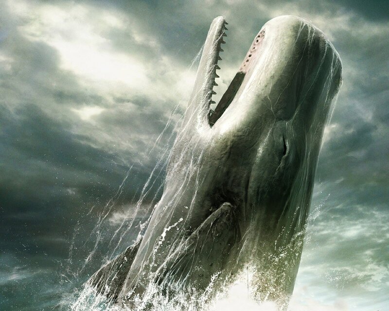 Whale Breaching Ocean — Gray