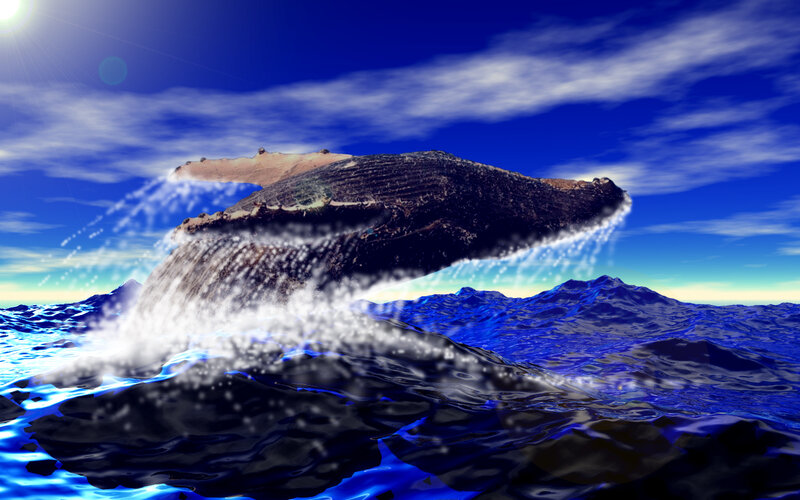 Whale breaching ocean