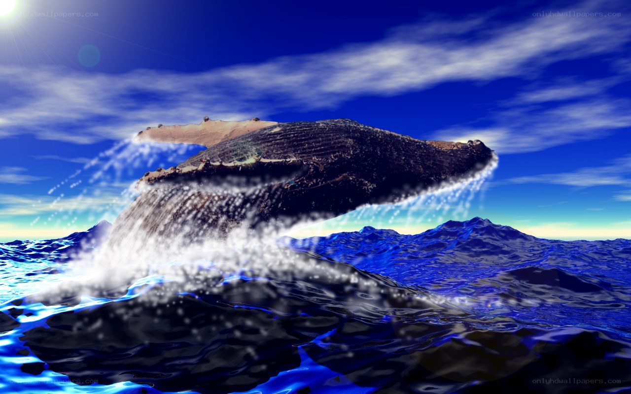 Whale breaching ocean