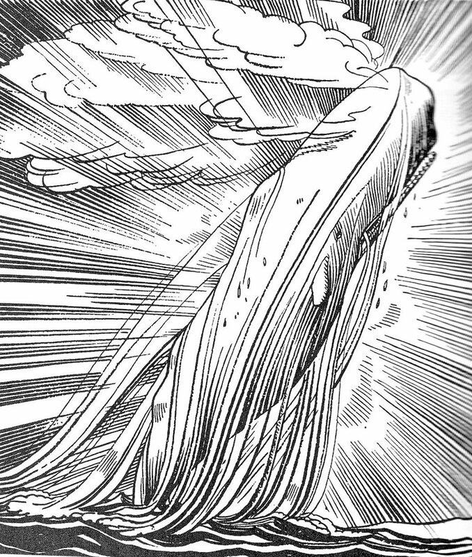 Whale breaching the surface