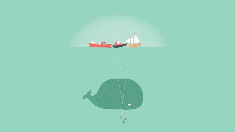 Whale Carrying Boats
