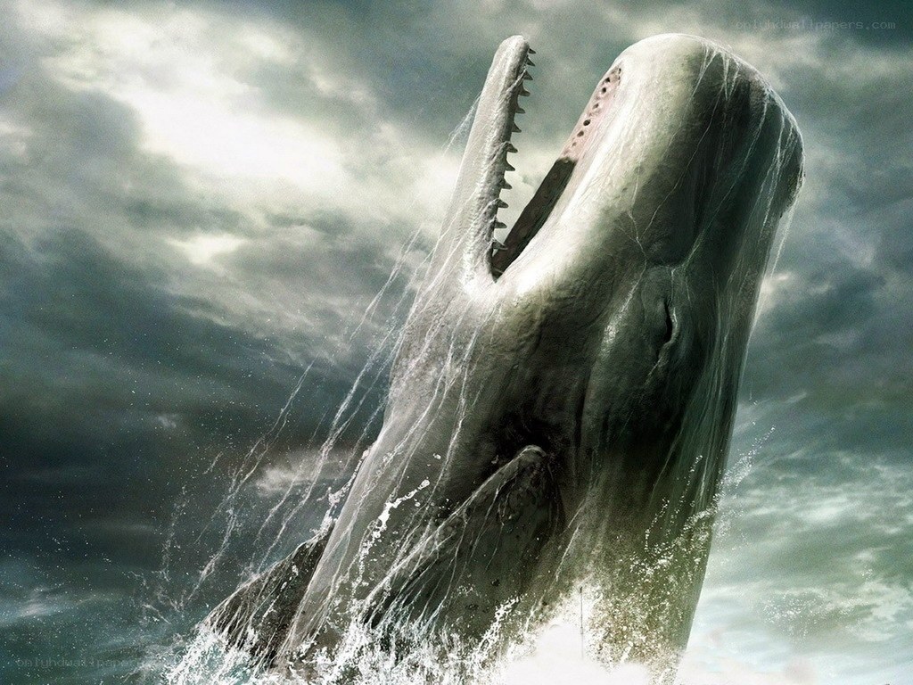 Whale emerging from stormy sea
