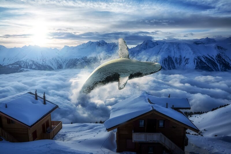 Whale Flying over Mountains