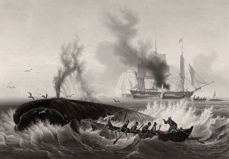 Whale Hunting Scene