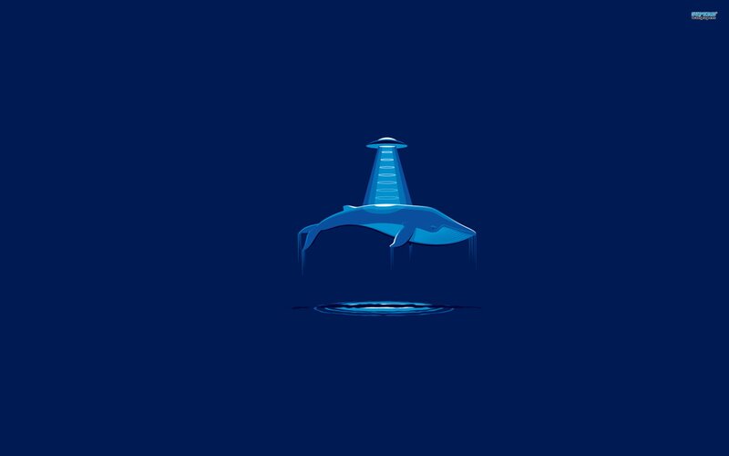 whale in a beam of light