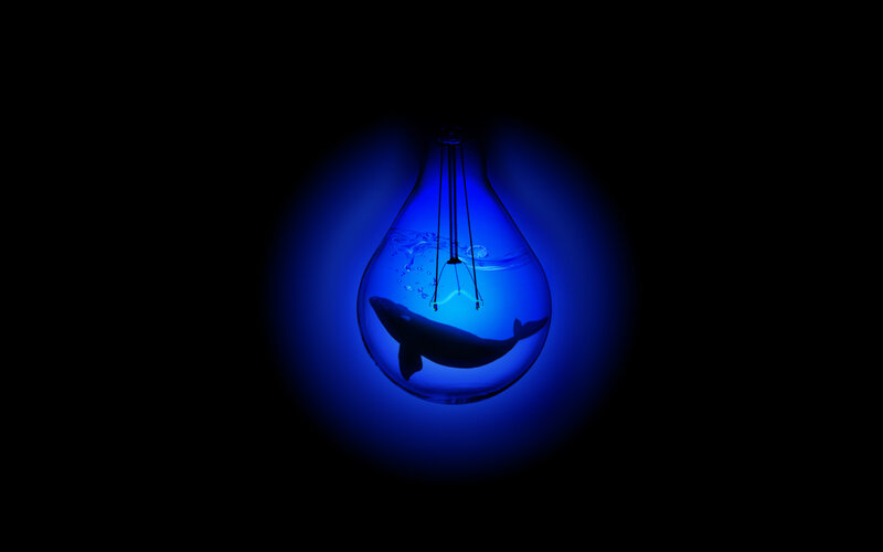 whale in a light bulb