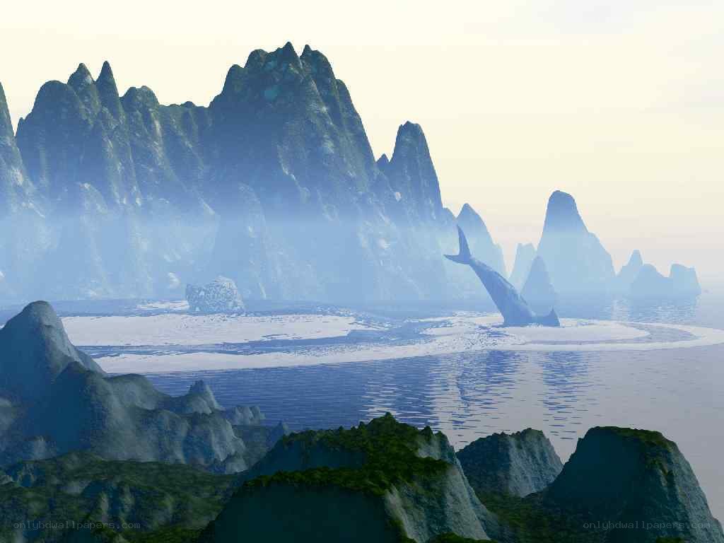 Whale in a mountainous bay