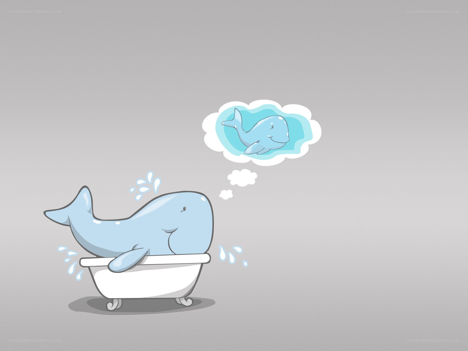 whale in bathtub