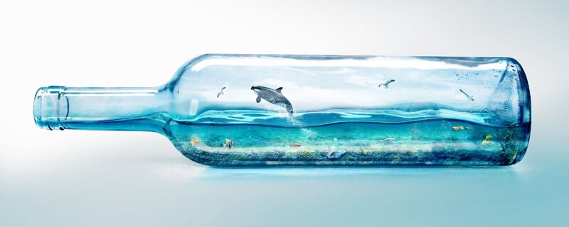 Whale in Bottle