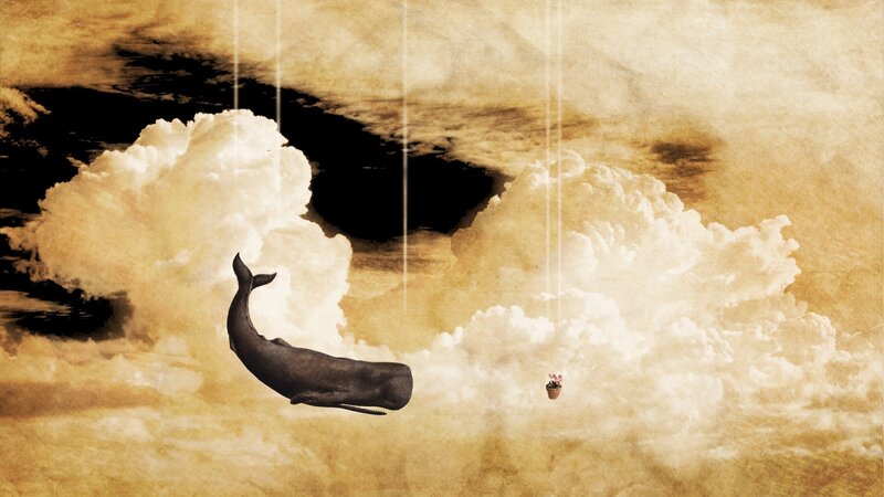 Whale in Clouds