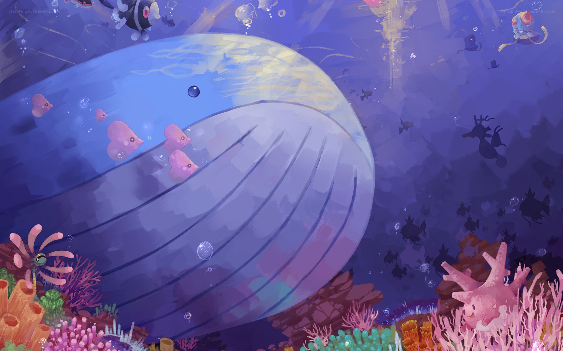 Whale in coral reef