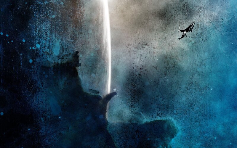 Whale in Dark Water