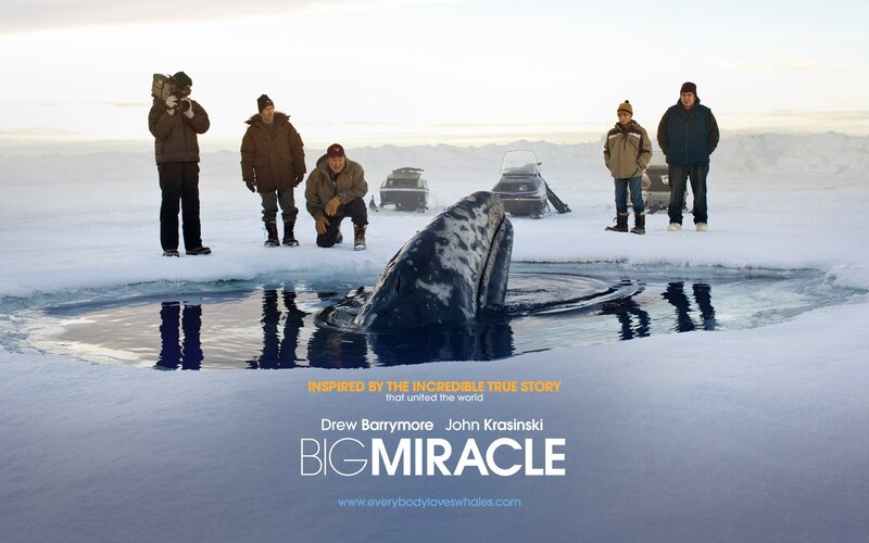 Whale in Icy Water