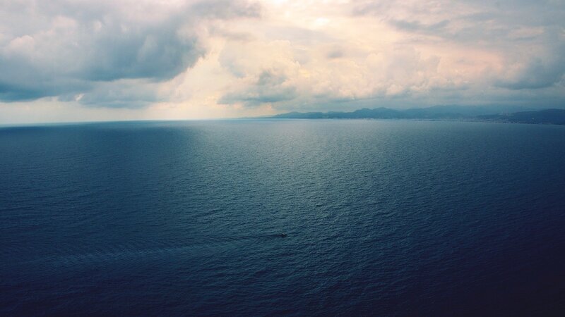 Whale in Ocean — Blue, Serene, Afternoon
