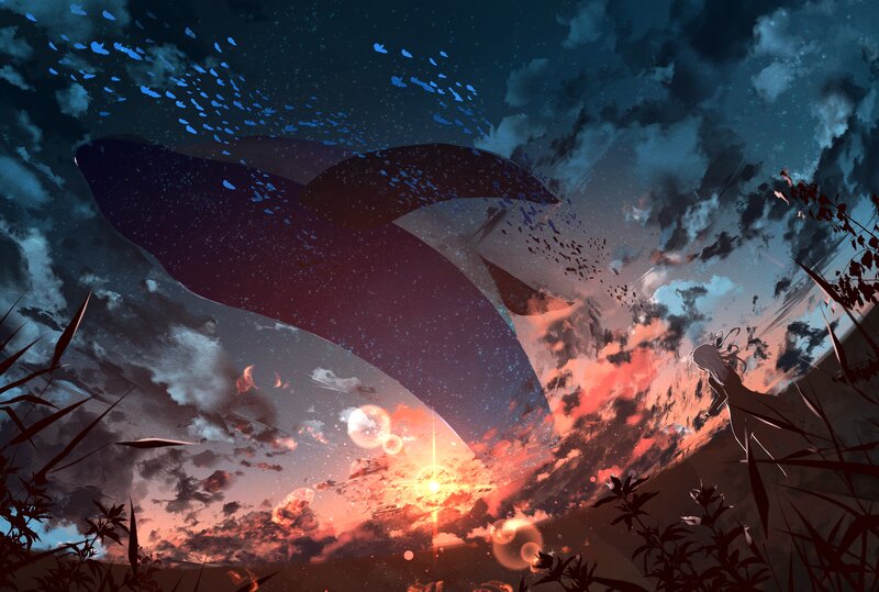 Whale in Sky