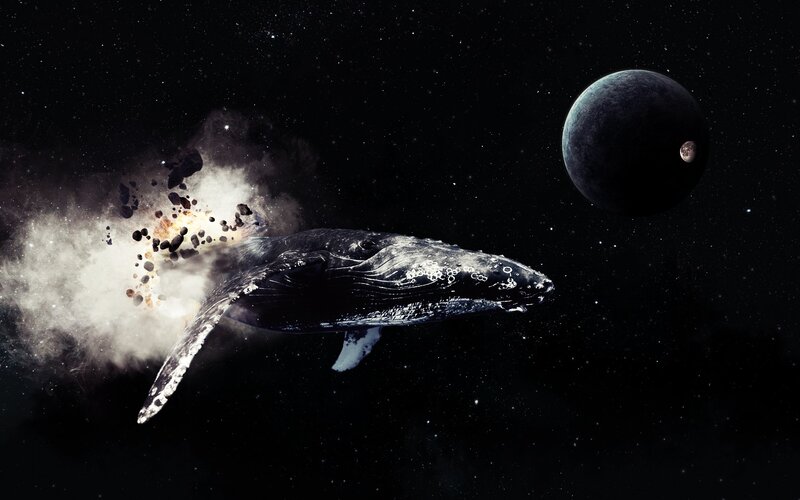 Whale in Space — Black