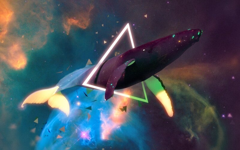 Whale in Space — Purple