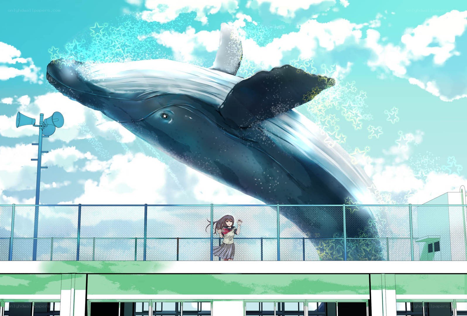 Whale in the sky