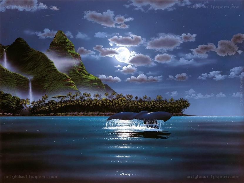 Whale in tropical moonlight