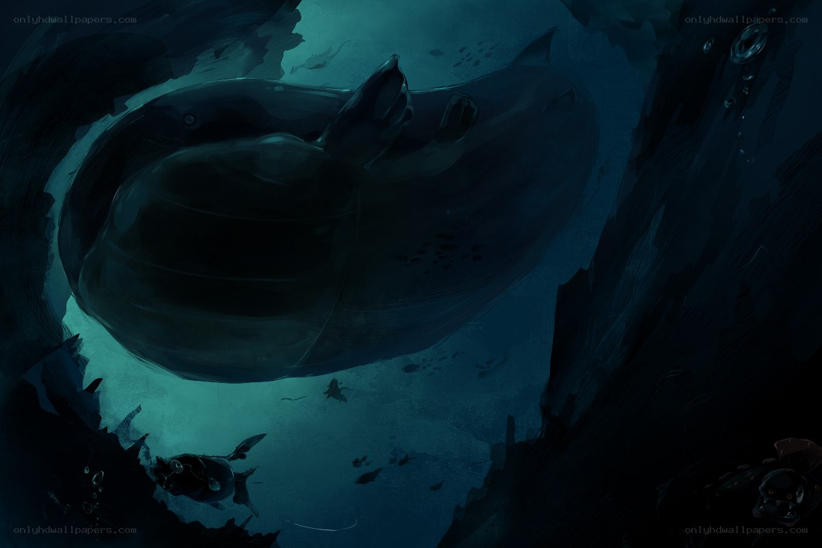 Whale in underwater cave