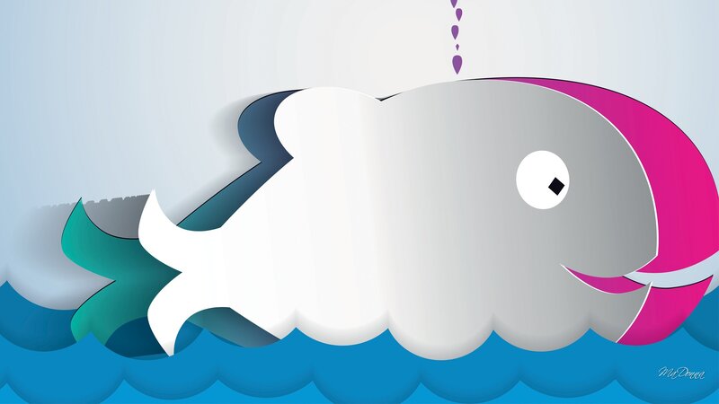 Whale in Water