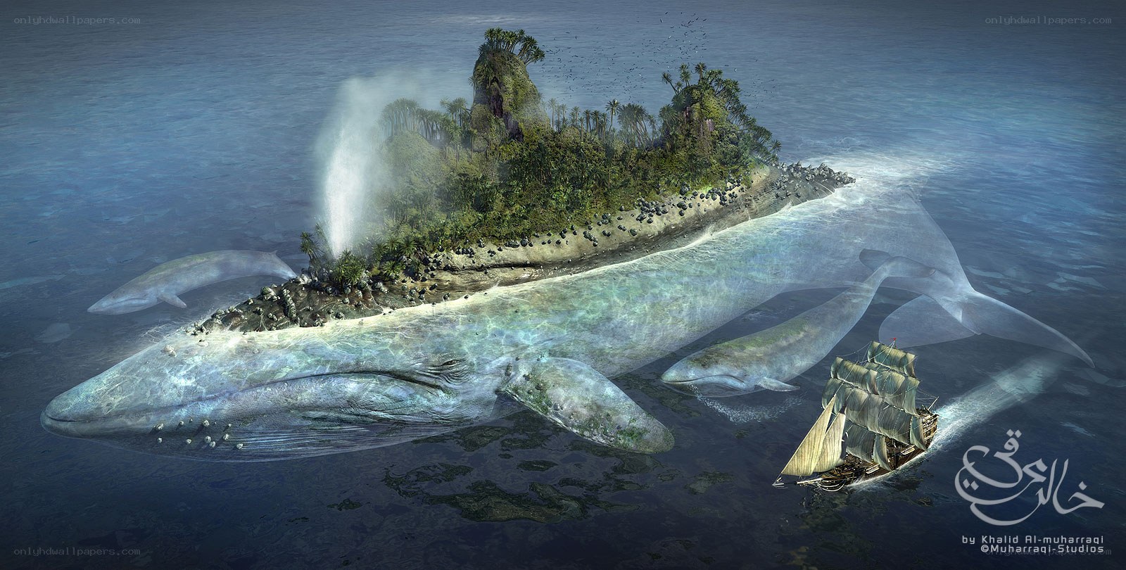 Whale Island Fantasy