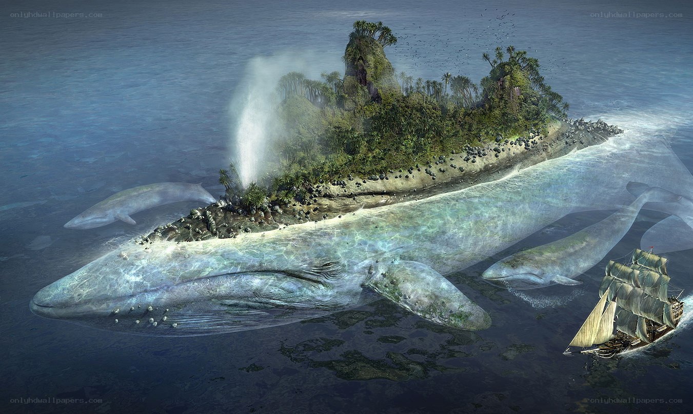 whale island fantasy
