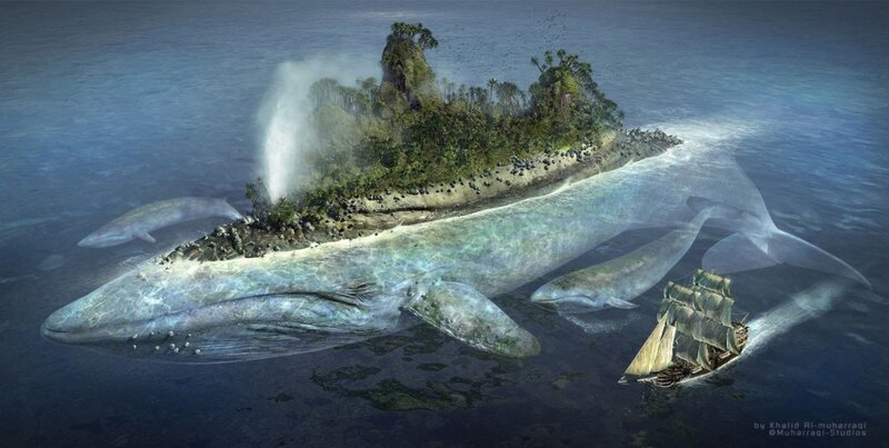 Whale Island Fantasy
