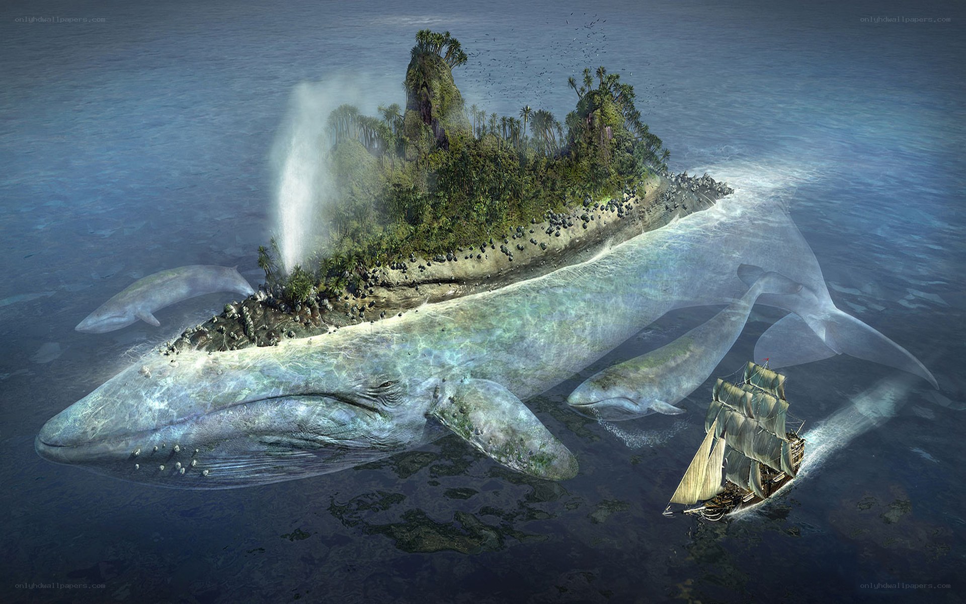 whale island with ship