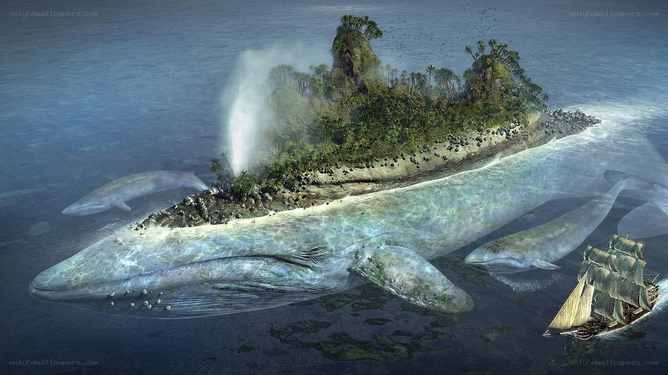whale island with ship