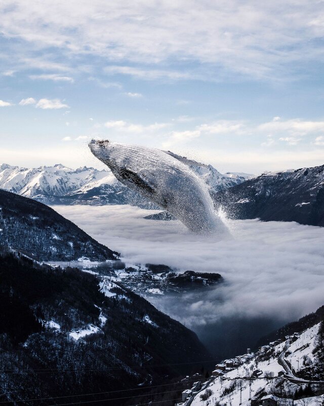 Whale Jumping over Mountains