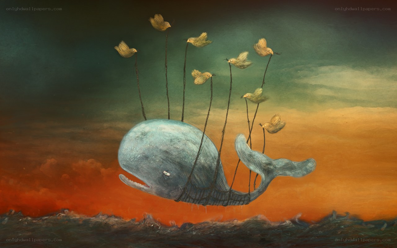 Whale lifted by birds
