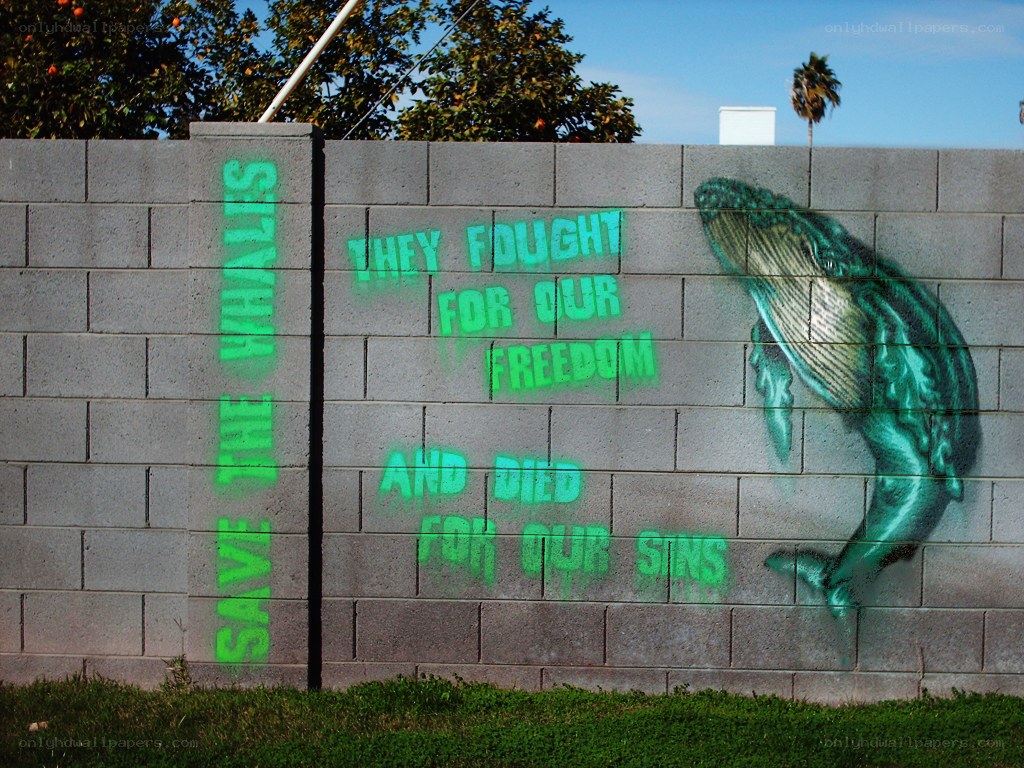 Whale mural on concrete wall