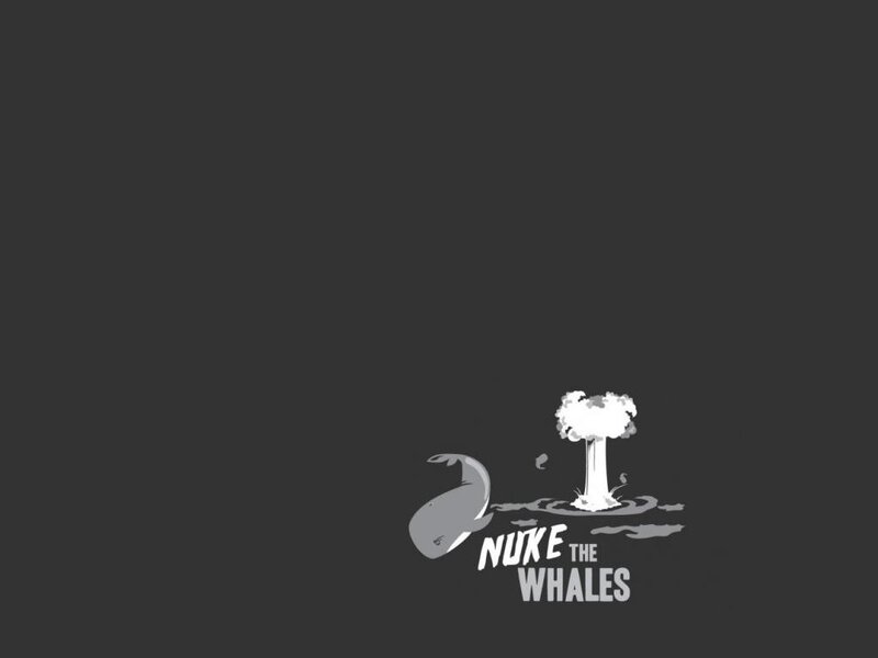 Whale Near Explosion