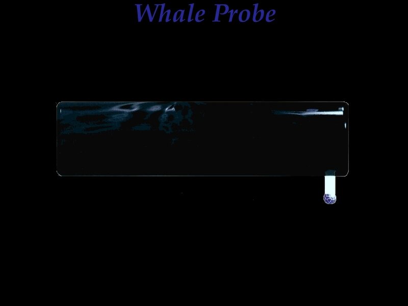 Whale Probe device