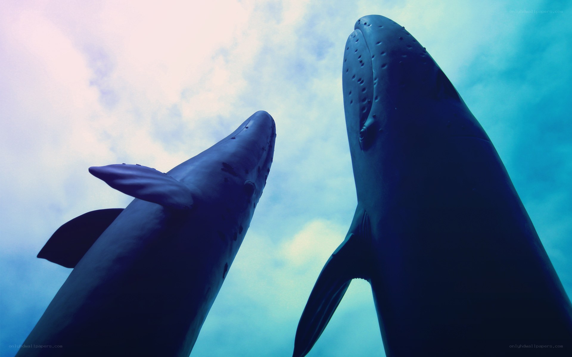 Whale sculptures against sky
