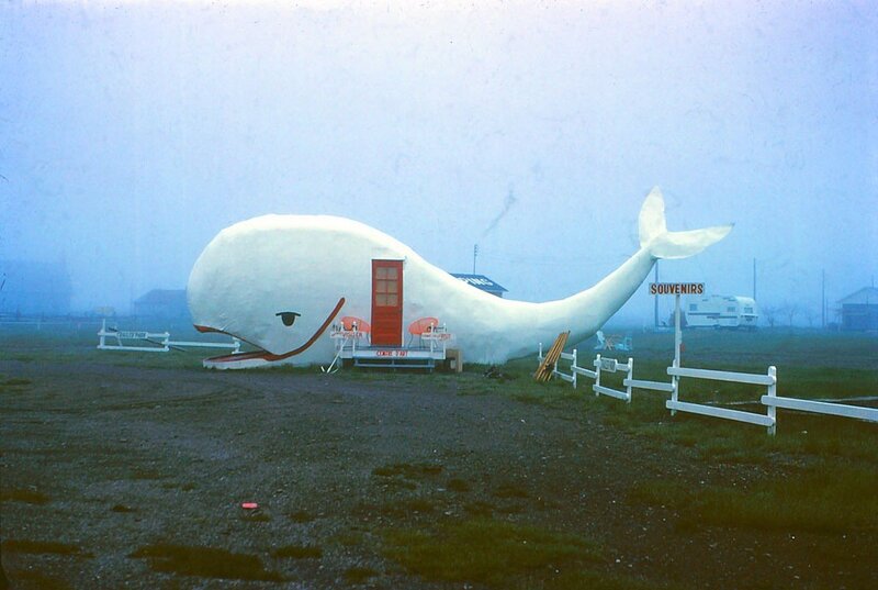 Whale-shaped souvenir shop