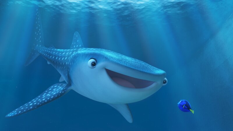 Whale Shark and Blue Fish