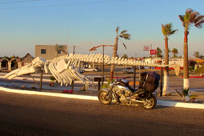 Whale Skeleton Sculpture