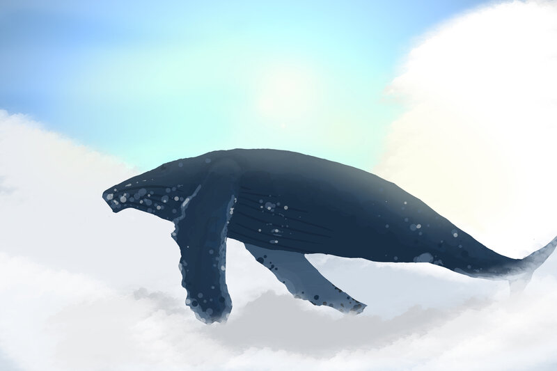 Whale swimming in clouds