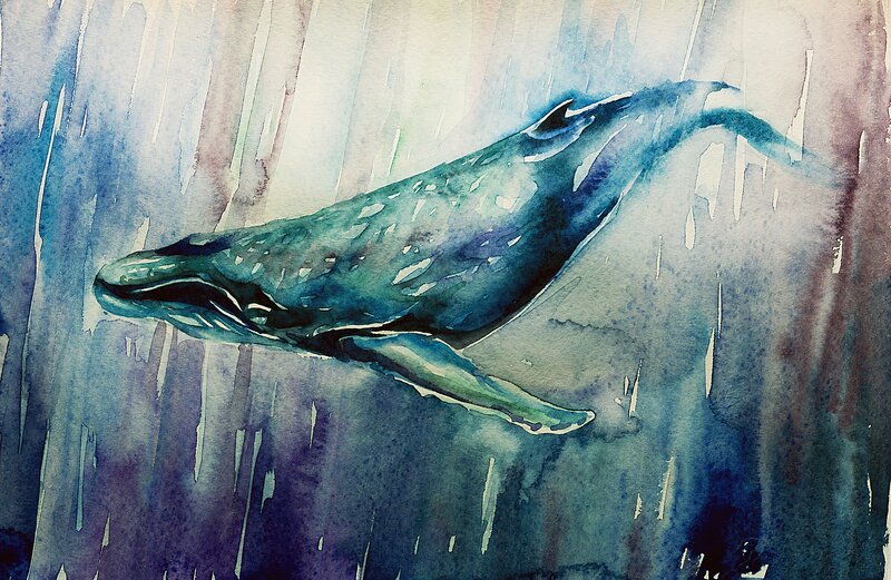 Whale swimming underwater
