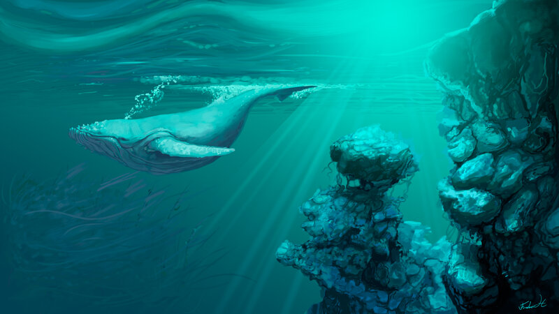 Whale Swimming Underwater — Teal