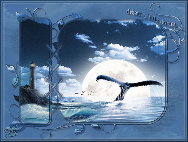 Whale Tail Breaching