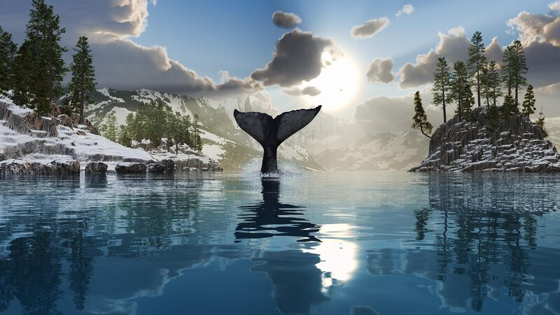 Whale Tail in Lake — Blue