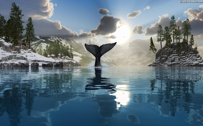 Whale Tail in Lake