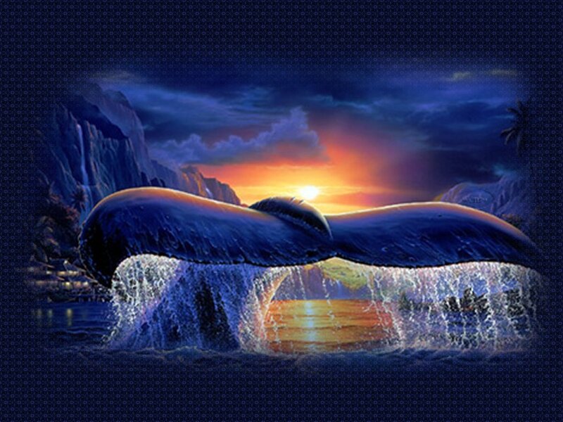 Whale Tail in Ocean — Blue, Dramatic