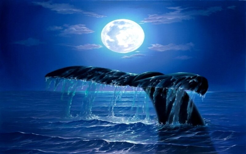 Whale Tail in Ocean — Blue, Serene, Night