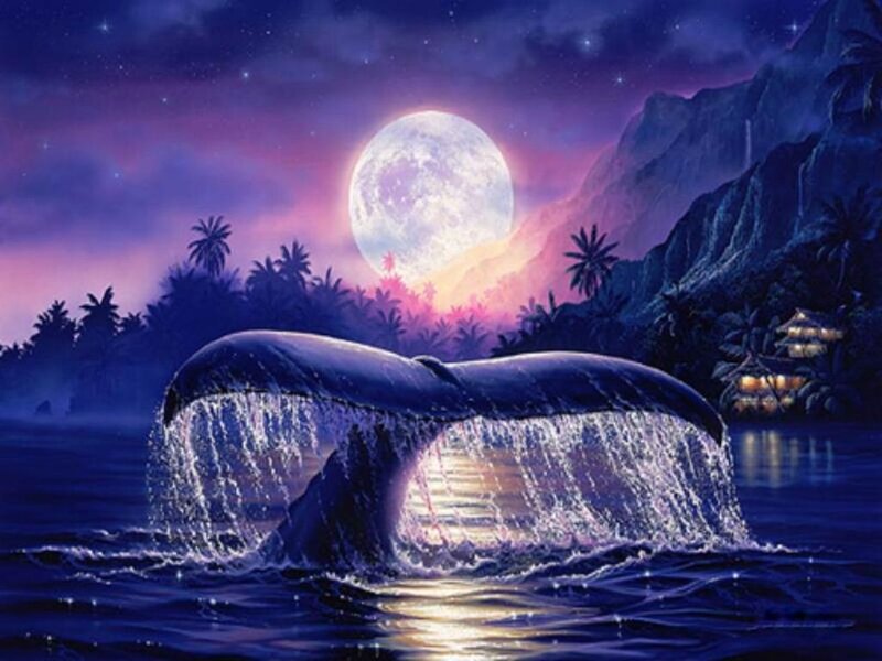 Whale Tail in Ocean — Purple