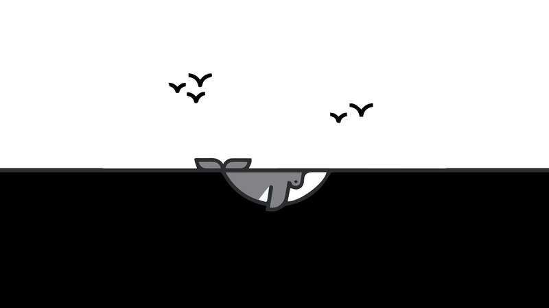 Whale Tail in Water — Black, Calm