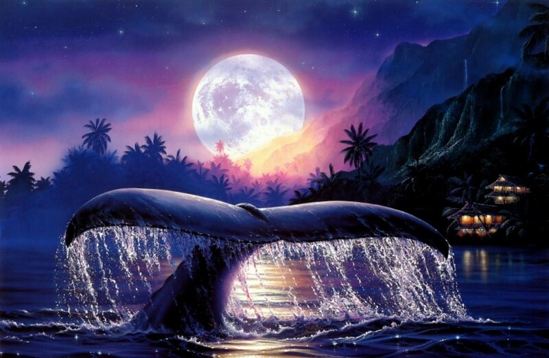 Whale Tail in Water — Purple, Serene